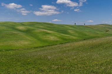 Baharda renkli tarlaları olan tipik Toskana İtalya manzarası