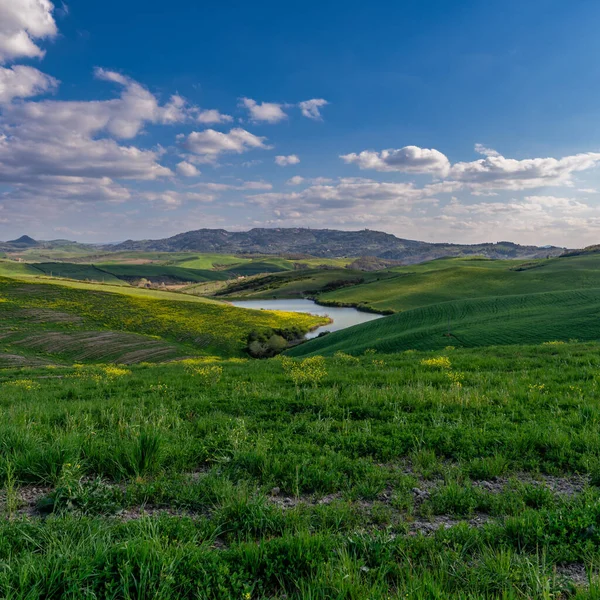 Typisk Landskapsbild Från Toscana Italien Med Färgglada Fält Våren — Stockfoto