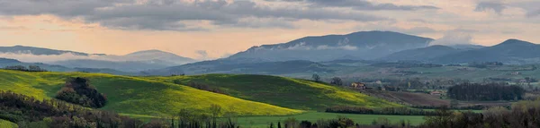 Typisches Landschaftsbild Aus Der Toskana Mit Bunten Feldern Frühling — Stockfoto