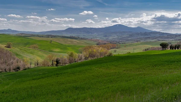 Typisk Landskapsbild Från Toscana Italien Med Färgglada Fält Våren — Stockfoto