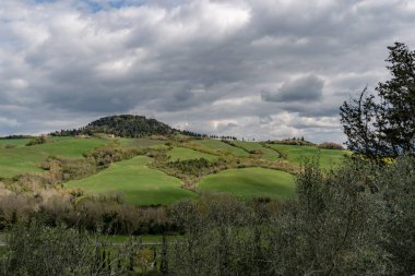 Baharda renkli tarlaları olan tipik Toskana İtalya manzarası