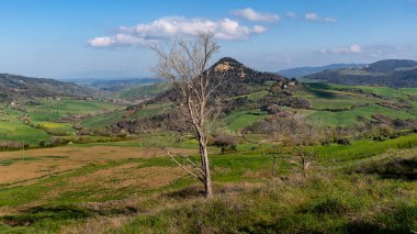 Baharda renkli tarlaları olan tipik Toskana İtalya manzarası