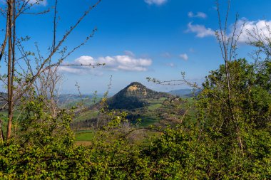 Baharda renkli tarlaları olan tipik Toskana İtalya manzarası