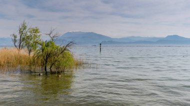 Sirmione manzaralı Lago di Garda (Garda Gölü) kasabası. İtalya 'nın Lombardiya bölgesinde turizm beldesi