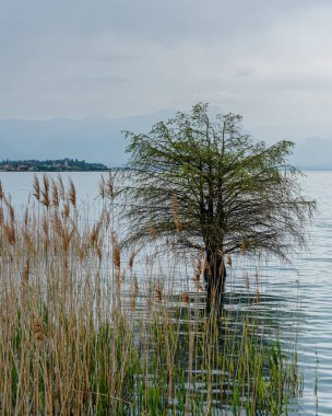 Lombardy, İtalya 'daki güzel Garda Gölü (Lago Di Garda) manzarası