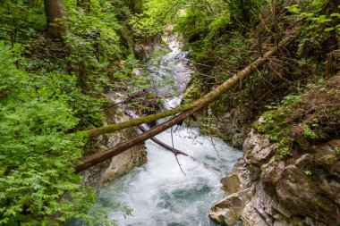 Ratschinger Bach, Gilfenklamm, dere vadiden akıyor, Ratschingstal, Stange, Güney Tyrol, İtalya