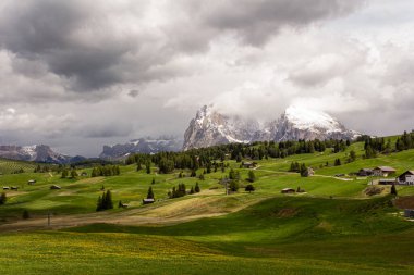 Alpe di Siusi - Seiser Alm - Langkofel dağ grubu Dolomites, Trentino Alto Adige, Güney Tyrol, İtalya
