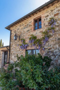 İtalya, Toskana 'nın Chianti bölgesinde üzüm bağı olan bir çiftlik evi..