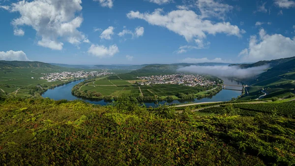Loop Moselle River Calmont Hill Steep Vineyard Hill Bremm Rhineland — Fotografia de Stock