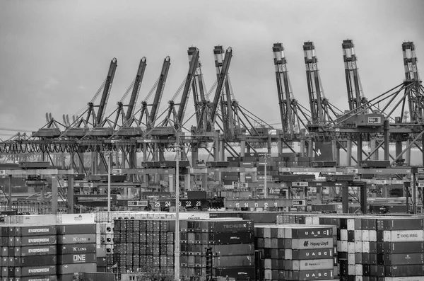 Hamburgs Containerhamn Med Vissa Fartyg Lastar Och Kranar Transporterar Container — Stockfoto