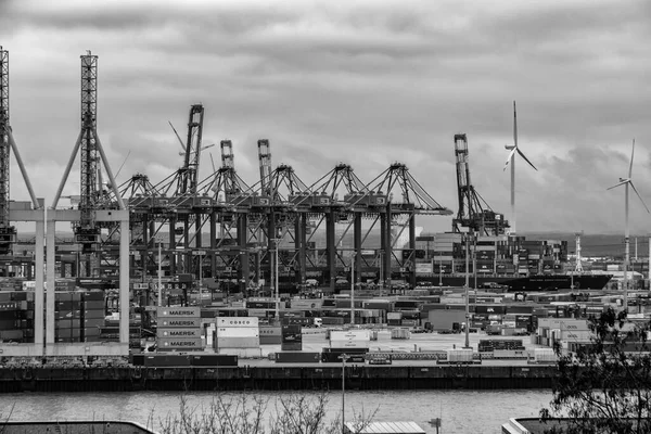 Hamburgs Containerhamn Med Vissa Fartyg Lastar Och Kranar Transporterar Container — Stockfoto