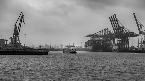 Hamburg Container Port Some Ships Loading Cranes Transporting Container Freighters — Stock Photo, Image