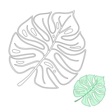 Tropikal yapraklar el çizimi vektör çizimleri ayarlandı. Egzotik bitki, siyah mürekkep çizimleri. Ana hatları, çiçek tasarımı, tesisat, palmiye ağaçları, incir ağacı, eğrelti otu. Tek renkli çiçek kartpostal tasarımı, çocuk boyama