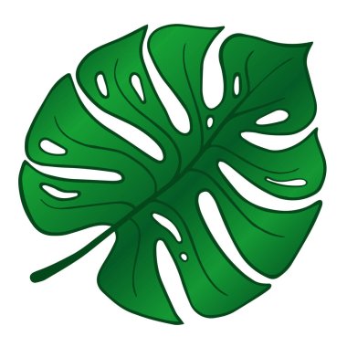 Vektör canavar. İzole edilmiş arka planda tropik yaprak, yeşil bitki, botanik illüstrasyon, çiçek tasarımı, canavar, Araceae, Philodendron. Ev dekorasyonu, çocuk odaları, yastıklar, kupalar için vektör tipografisi