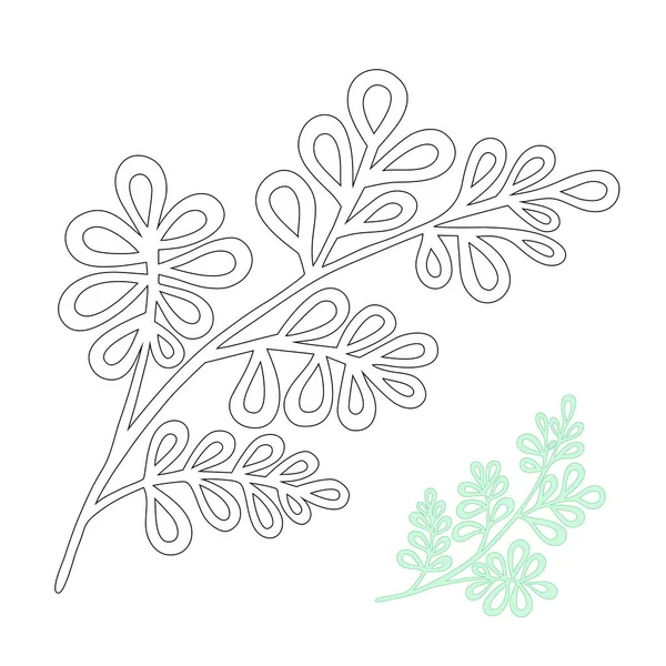 Tropical Leaves Hand Drawn Vector Sketches Set Exotic Plant Black Royalty Free Stock Vectors