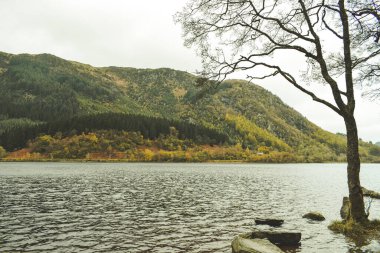 Manzara, dağlar ve ilçeler, Torrisdale, İskoçya,