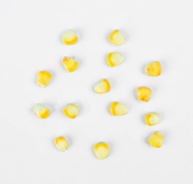 İzole edilmiş beyaz bir arka planda serpiştirilmiş sarı mısır tohumları