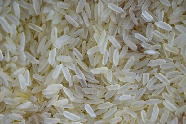 Lot Rice Grains Stacked Together Grains Portrait Very Beautifully — Stock Photo, Image