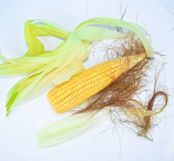 Single Ear Fresh Corn Corn Leaves Isolated Empty White Background — Stock Photo, Image