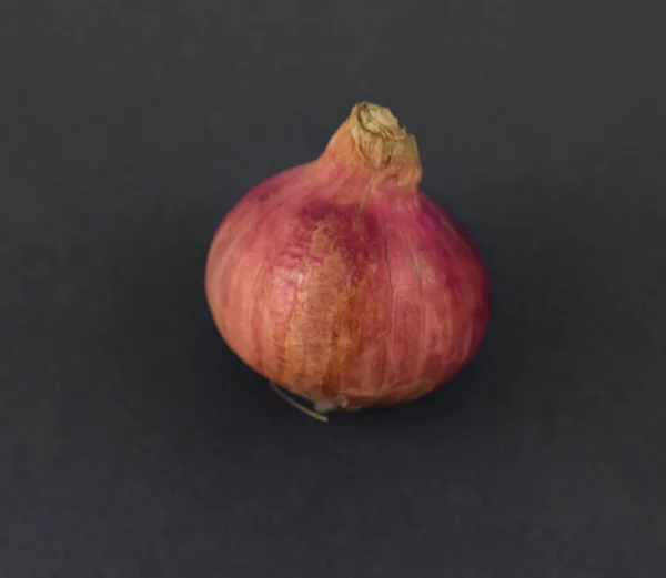 Portrait Single Red Colored Medium Sized Fresh Onion Front Isolated — Stock Photo, Image