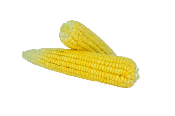 Вид Сбоку Две Сладкие Кукурузы Желтого Цвета Изолированные Пустом Белом — стоковое фото
