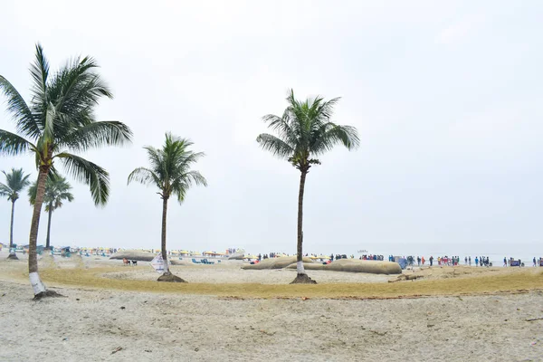 Einige Tropische Bäume Einem Zufälligen Meeresstrand Die Bäume Hoch Sind — Stockfoto