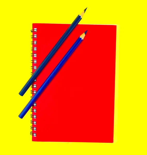 Deux Crayons Crayon Bois Couleur Bleue Placés Sur Journal Papier — Photo