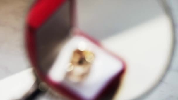 Lindo Anel Casamento Fica Uma Caixa Vermelha Sob Uma Lupa — Vídeo de Stock