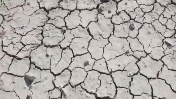 Tierra Gris Agrietada Muy Seca Marco Abstracto Que Mueve Rápido — Vídeos de Stock