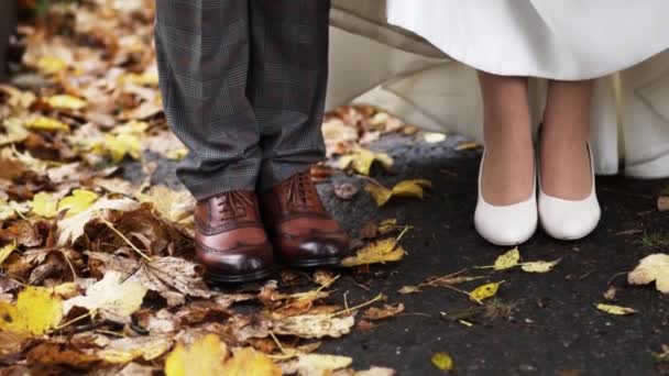 男人和女人在秋天的树叶上穿鞋子 — 图库视频影像