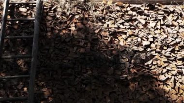 Kırsal kesimden yakacak odun yığınının yanında eski ahşap bir merdiven duruyor