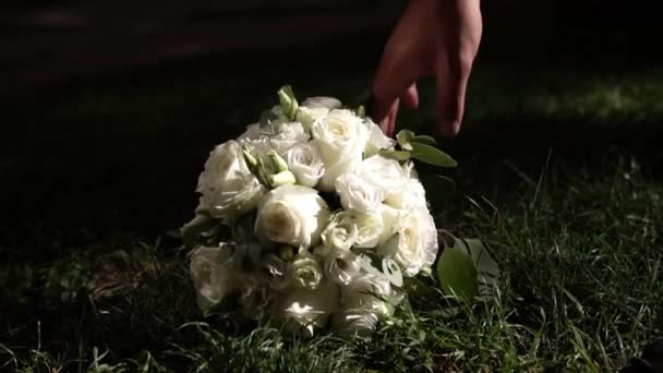 풀밭에 아름다운 장미꽃 다발이 손으로 장미를 받는다 — 비디오