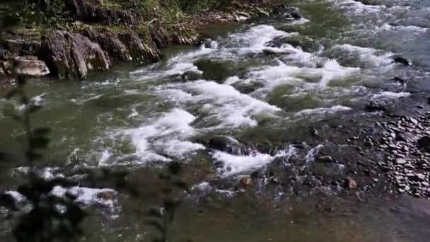 Mountain River Flows Water Gushes Stones Rapids — Stock Video