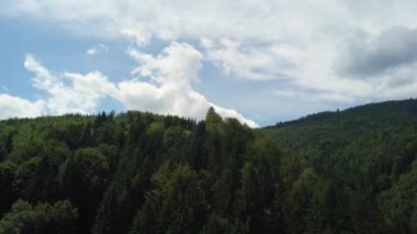 Orman dağlarının üzerinde bulutların üzerinde uçan güzel bir manzara.
