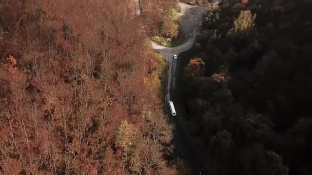 Une Limousine Blanche Longe Une Route Forestière Automne Vue Aérienne — Video