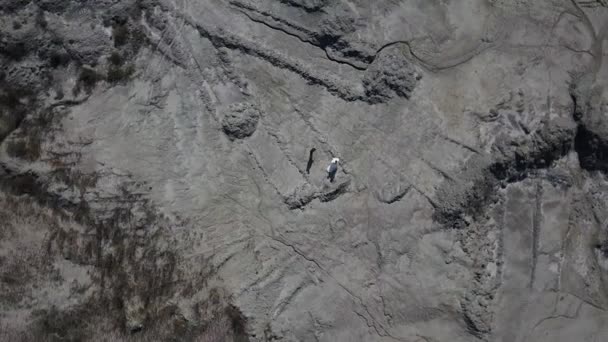 Casal Feliz Gira Uma Pedreira Areia Vista Aérea Tiro Drone — Vídeo de Stock
