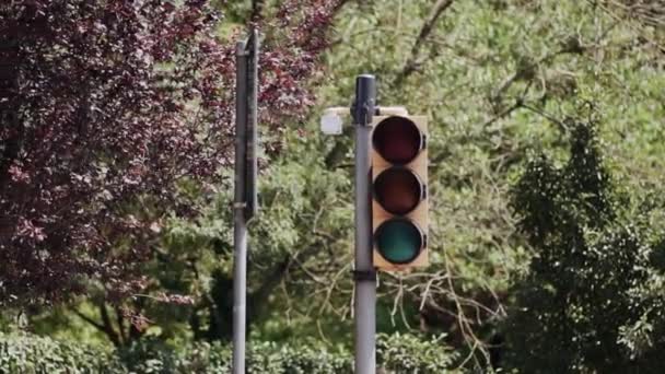 Ampel Vor Grünem Hintergrund — Stockvideo