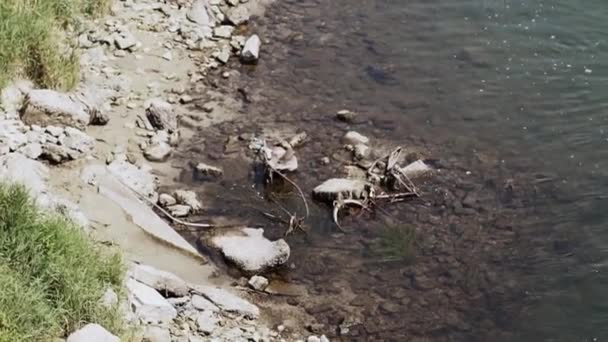 Una Vecchia Bici Abbandono Arrugginito Trova Sulle Rive Del Fiume — Video Stock