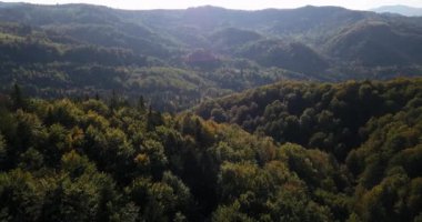 Gökyüzü ve mavi bulutlarla buluştukları, yazın güneşli bir günde, yüksek yeşil kozalaklı ve yaprak döken dağ ormanlarına yakın uçuyorlar.