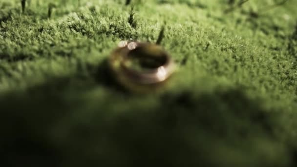 Hermosos Anillos Oro Boda Encuentran Bosque Una Colina Verde Donde — Vídeos de Stock