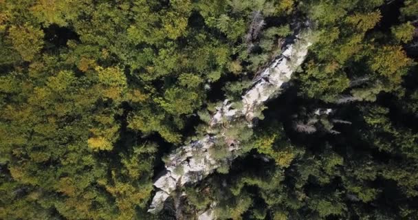 Вид Высоты Птичьего Полета Невысокие Горы Карпат Заросшие Зелеными Деревьями — стоковое видео