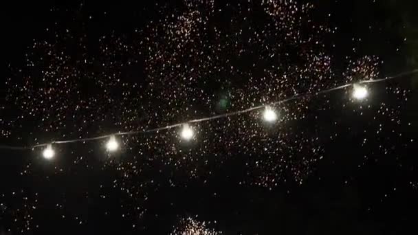 Una Bella Grande Fuochi Artificio Colorati Nel Cielo Notturno Ritardo — Video Stock