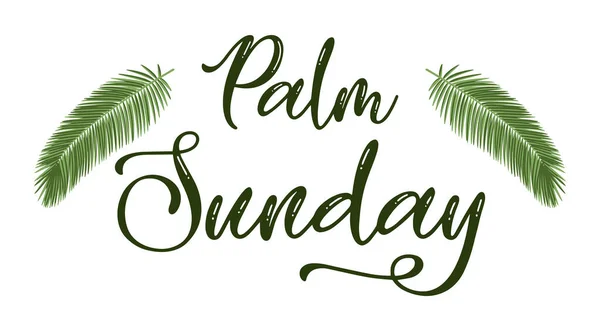 Palmiye dalları ve yapraklarla dolu Hıristiyan Palm Sunday dini bayramı mektupları. Vektör EPS 10 kullanılabilir.
