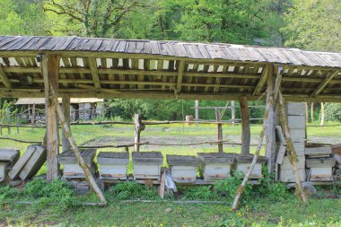 Dağlarda Apiary. Organik yiyecekler. Tatlım.