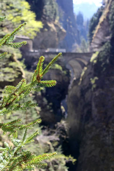 Έλατο Υποκατάστημα Ελβετική Γέφυρα Φαράγγι Μια Ηλιόλουστη Μέρα — Φωτογραφία Αρχείου