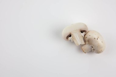 Beyaz arka planda mantarlar. Lezzetli yemekler pişirmek için mantar..