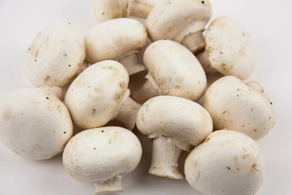 Paddenstoelen Een Witte Achtergrond Paddenstoelen Voor Het Koken Van Heerlijke Rechtenvrije Stockafbeeldingen