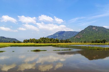 Tri Ton 'da güzel bir sahne