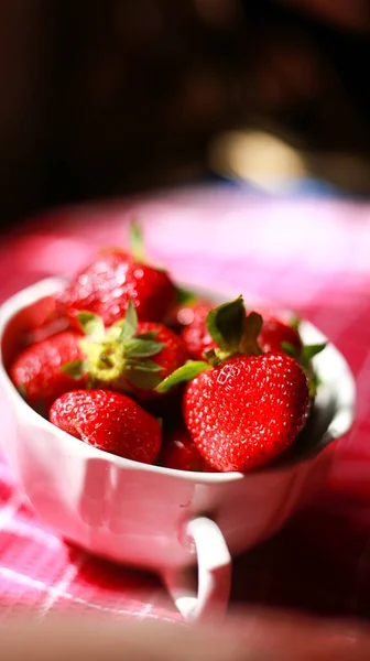 Grupo Fresas Tazón Blanco — Foto de Stock