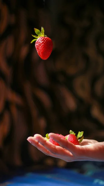 Strawberry in hand, Flying strawberry in dark background, hand with strawberry in dark background